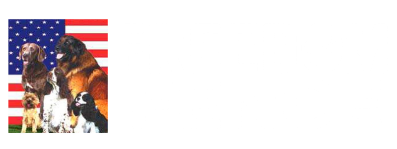 Freedom Fence